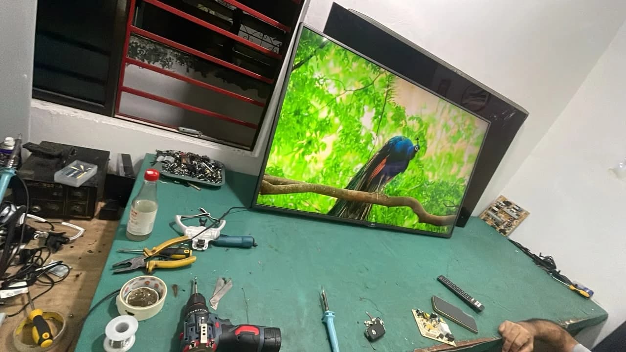 Television displaying a bird image on the electronics repair workbench